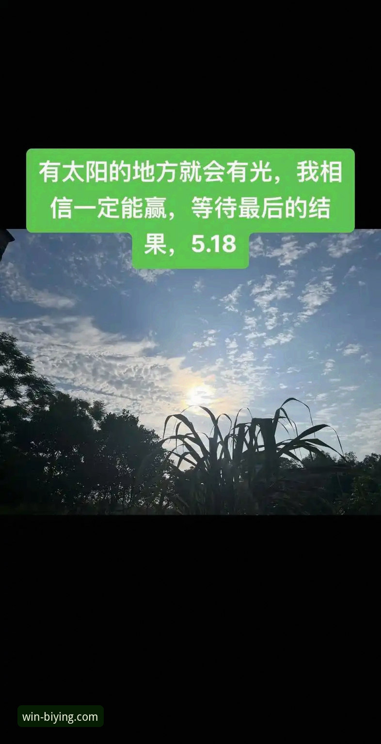 必赢最新版本下载哪个好 3个关键维度解析必赢最新版本下载哪个好——2026版移动端深度测评